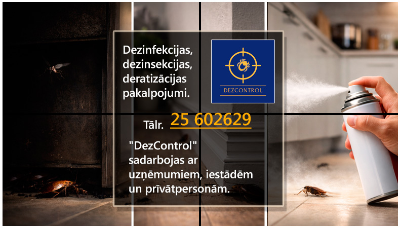 Kāpēc sadzīves aerosoli nepalīdz pilnībā 