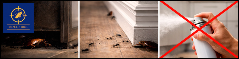 Sadzīves aerosoli un spreji šķiet ātrs